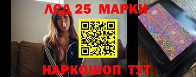 стафф Гай