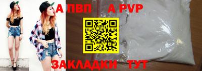 стафф Гай