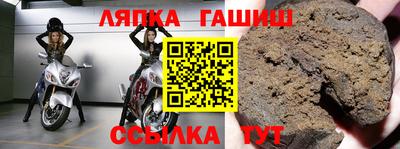 стафф Гай