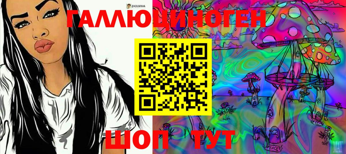 Псилоцибиновые грибы мицелий Ростов Великий