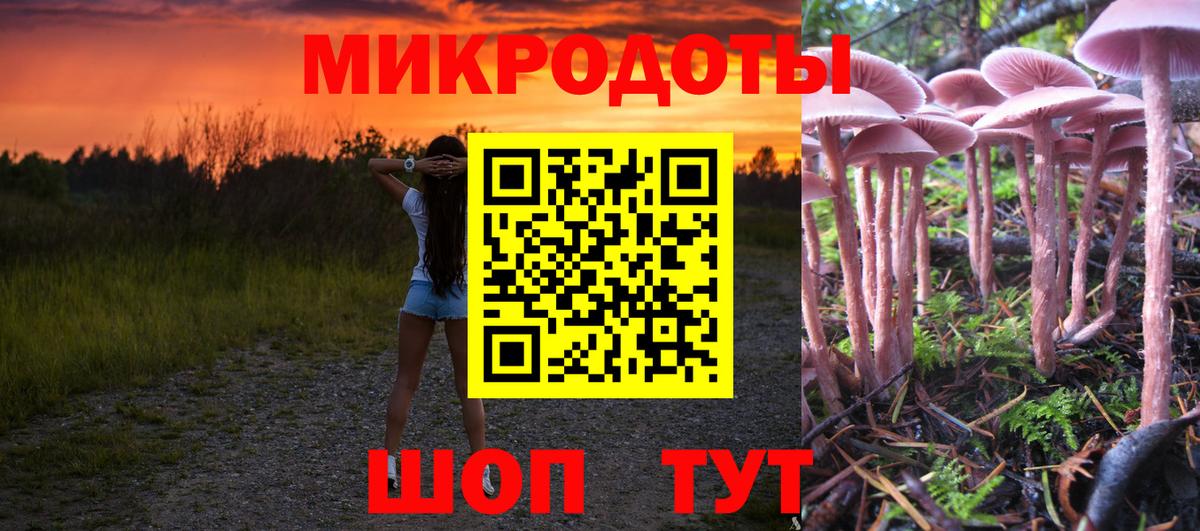 Ростов Великий  где найти   Вход с VPN  Псилоцибиновые грибы Psilocybine cubensis 